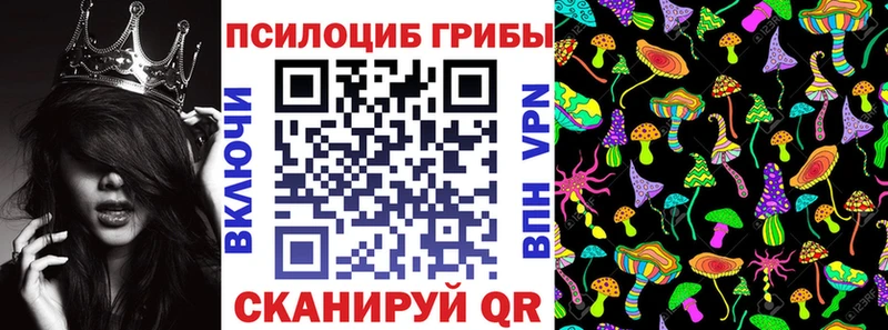 как найти наркотики  Урень  кракен рабочий сайт  Галлюциногенные грибы Cubensis 